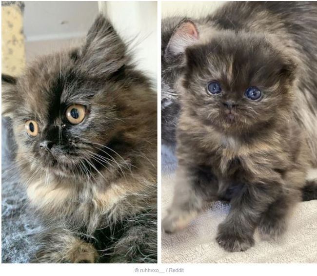 ����� � ������� � �������� ����� � 6 �������