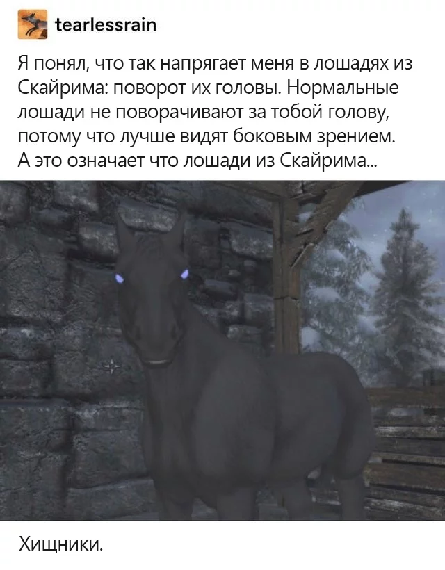 Ты в опасности - Skyrim, Компьютерные игры, Видеоигра, Скриншот, Лошади, Хищник, The Elder Scrolls, The Elder Scrolls V: Skyrim, Картинка с текстом, Крипота