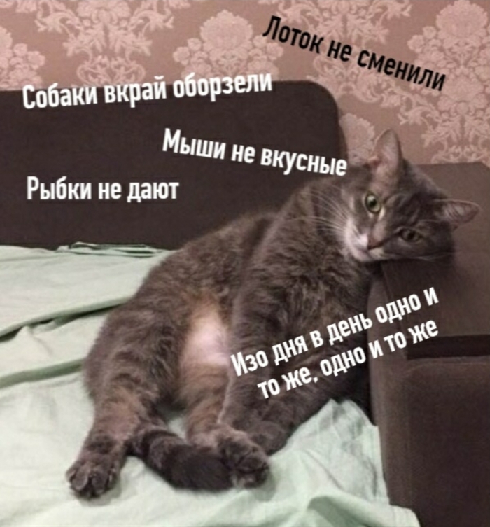 -...