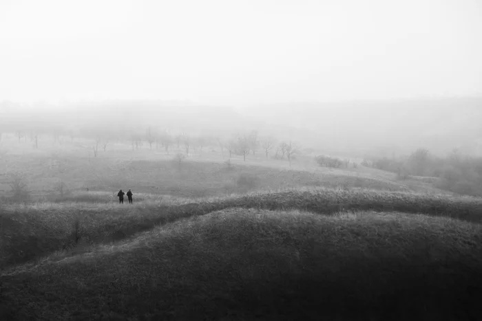 Cold foggy morning - My, Landscape, I want criticism, Black and white