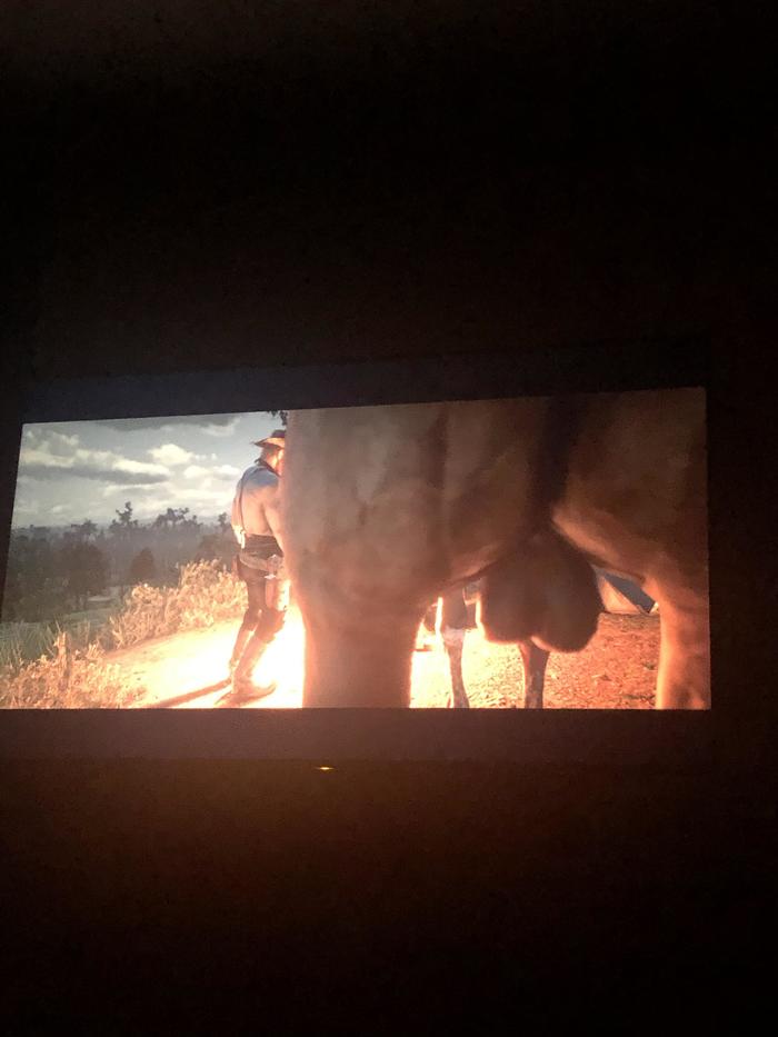 I parked my horse in the perfect spot right before the cutscene - Games, Red dead redemption 2, Animals, Cutscenes, Foreshortening, Booty, Horses, Testicles