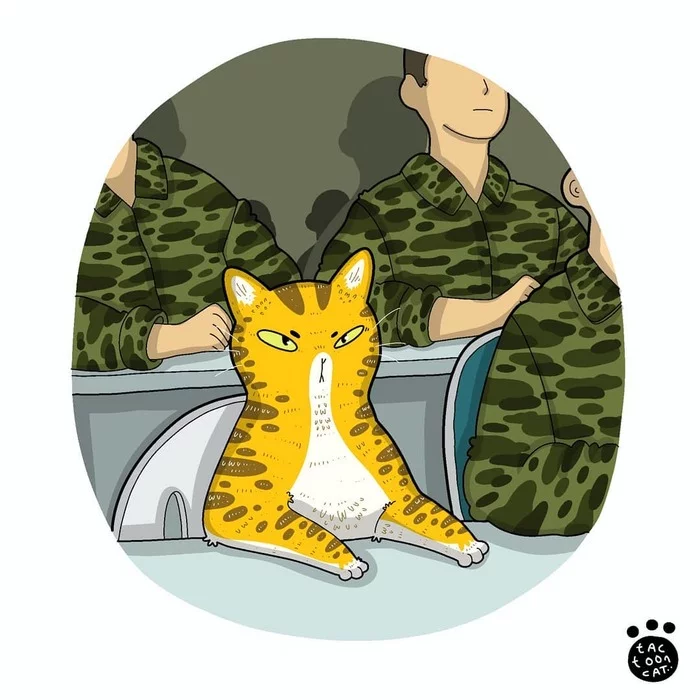 Котозарисовки - Арт, Рисунок, Кот, Tactooncat, Видео, Длиннопост