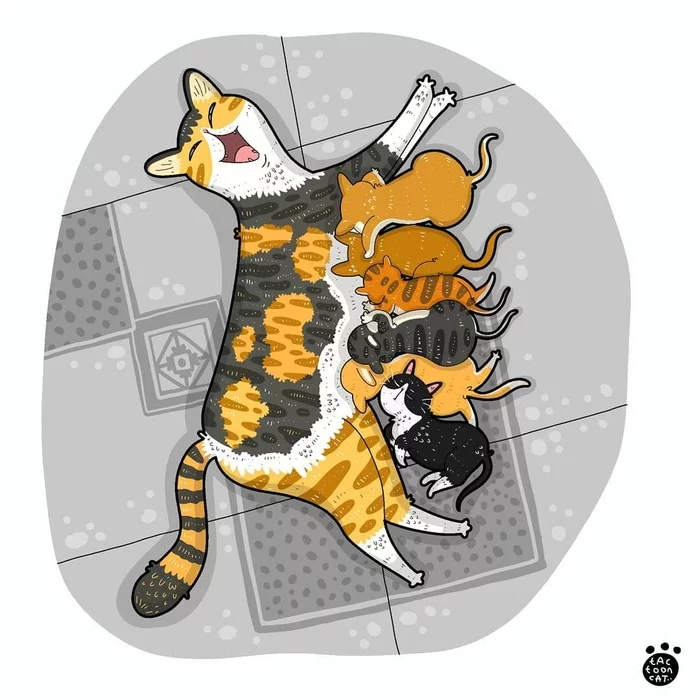 Котозарисовки - Арт, Рисунок, Кот, Tactooncat, Видео, Длиннопост