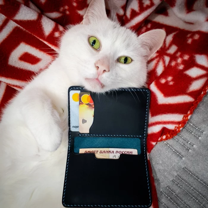 Mini wallet-cardholder made of leather - My, Needlework without process, Leather craft, Leather, Leather products, Handmade, Craft, Longpost, cat