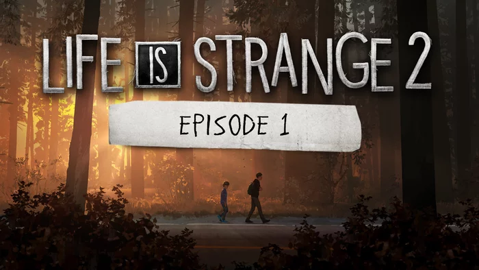 [Steam] Life is Strange 2 episode 1 - Life is Strange 2, Steam, Freebie, Episode, Computer games, Longpost