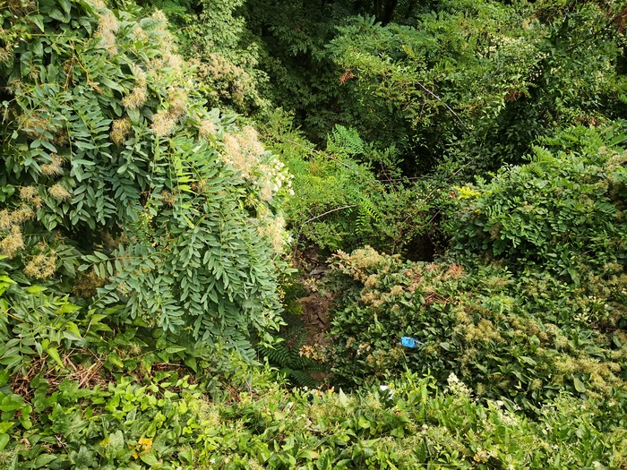 Первое путешествие в Пятигорск Пятигорск, Кавказские Минеральные Воды, Видео, Длиннопост