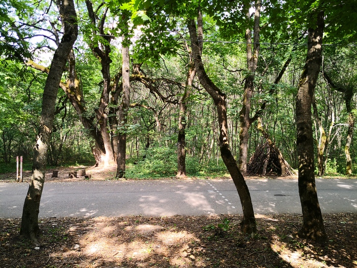 Первое путешествие в Пятигорск Пятигорск, Кавказские Минеральные Воды, Видео, Длиннопост