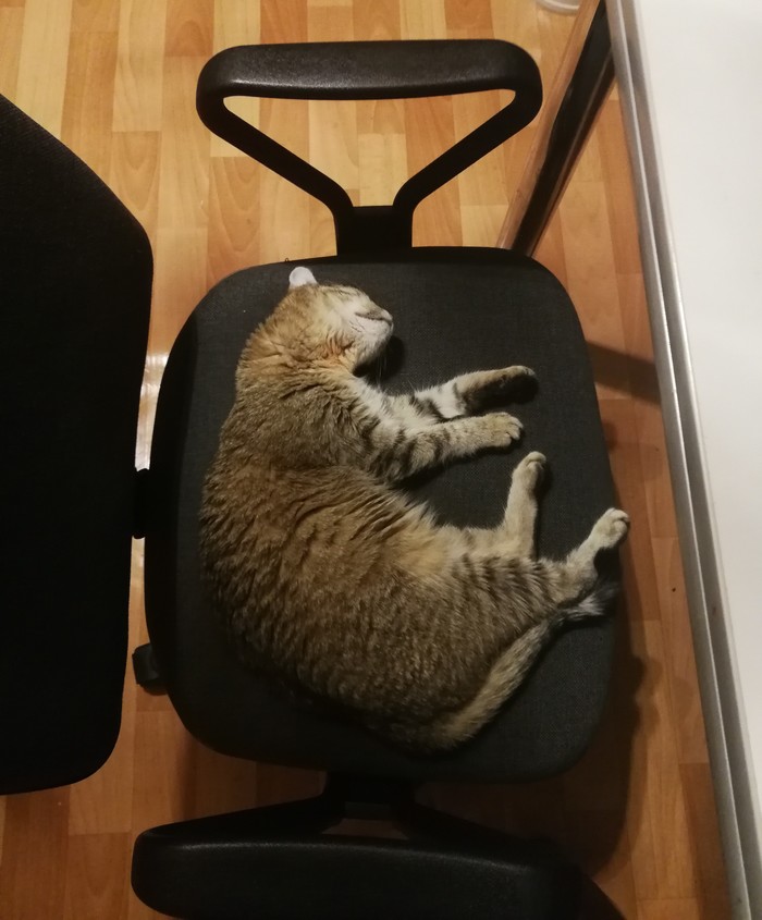 ����� ������ �� 0,00001 �������