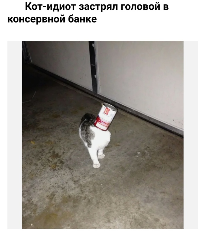Сова в городе что делать. Смотреть фото Сова в городе что делать. Смотреть картинку Сова в городе что делать. Картинка про Сова в городе что делать. Фото Сова в городе что делать