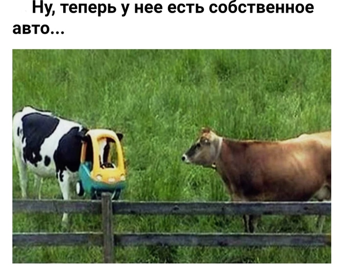 Сова в городе что делать. Смотреть фото Сова в городе что делать. Смотреть картинку Сова в городе что делать. Картинка про Сова в городе что делать. Фото Сова в городе что делать