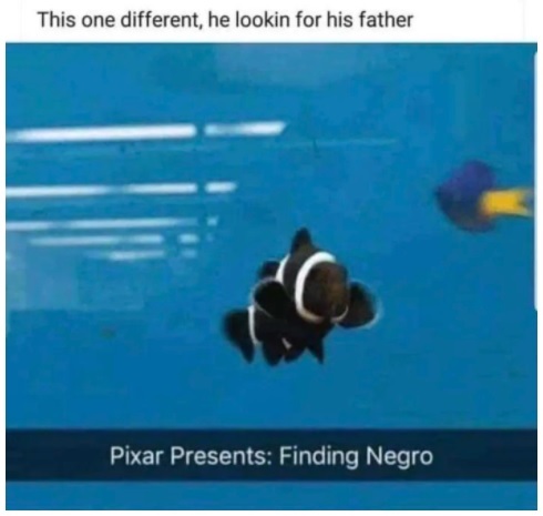 Looking for a Negro - Humor, Black people, Finding Nemo, Pixar, Picture with text