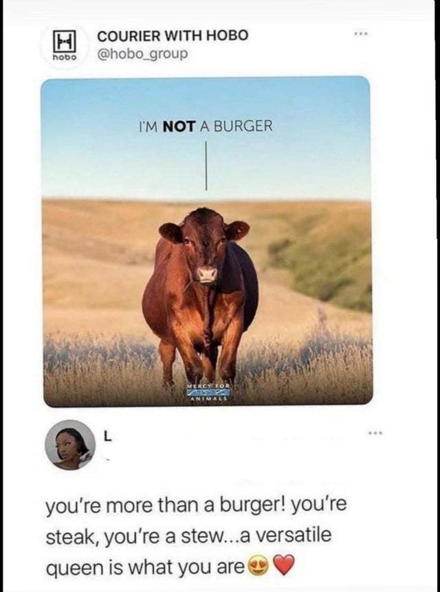 Ribeye - Cow, Picture with text, Comments, Black humor