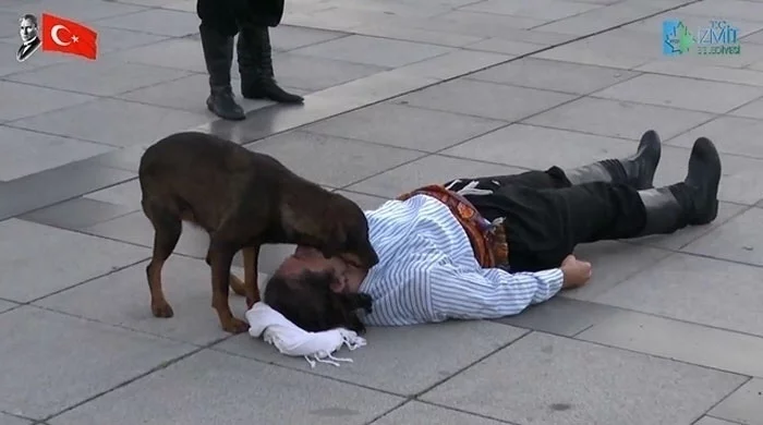 Собака - лучший друг человека Длиннопост, Собака, Друг, Актеры и актрисы, Выступление Собака - лучший друг человека Длиннопост, Собака, Друг, Актеры и актрисы, Выступление