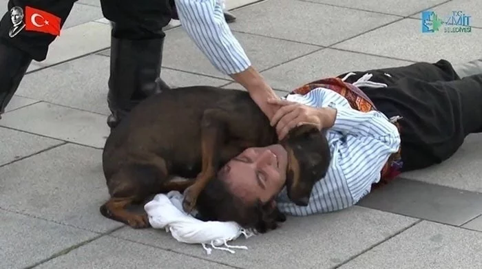 Собака - лучший друг человека Длиннопост, Собака, Друг, Актеры и актрисы, Выступление Собака - лучший друг человека Длиннопост, Собака, Друг, Актеры и актрисы, Выступление