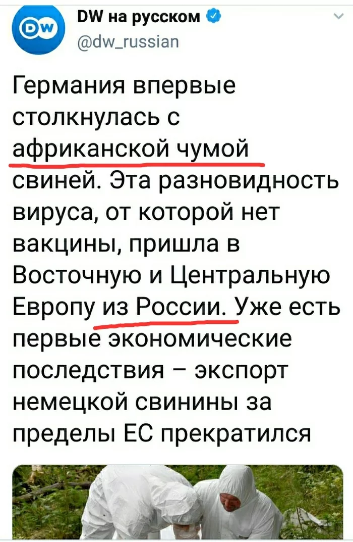 Новости русофобии - Россия, Германия, Африканская свиная чума, Экономика, Политика, Скриншот, Twitter, Русофобия