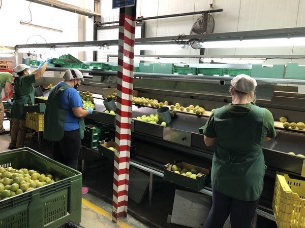 ������ ���������� AgroCovid-19 �������� ��������� ��������