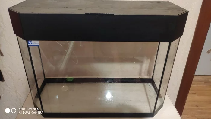 My first aquarium #2 - My, The first aquarium, Longpost, Aquarium