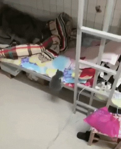  ... , , ,   , 