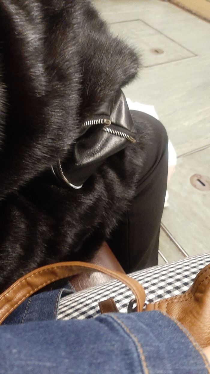 �������� - ����� ������