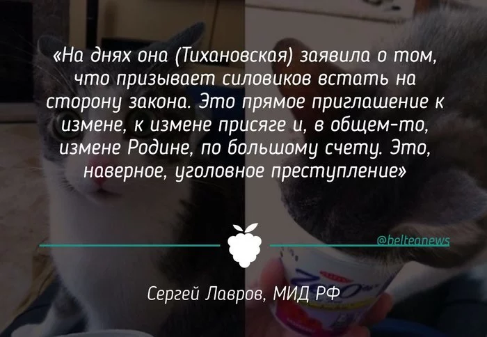 Может я чего-то не понимаю ... - Политика, Сергей Лавров, Республика Беларусь, Светлана Тихановская