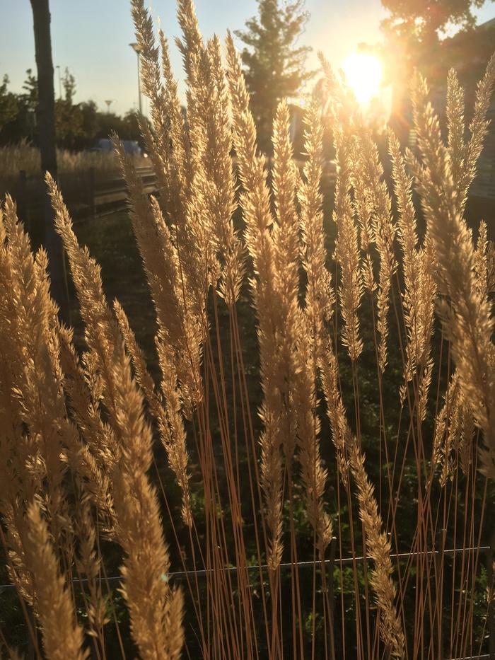 Красивый вечер