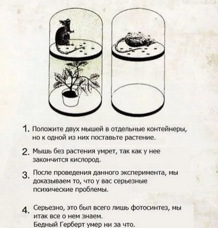 Photosynthesis experiment - Experiment, Humor, Photosynthesis, Mouse