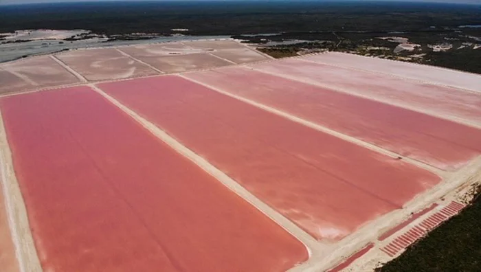 Pink Lagoon in Mexico - My, Travels, Mexico, Longpost