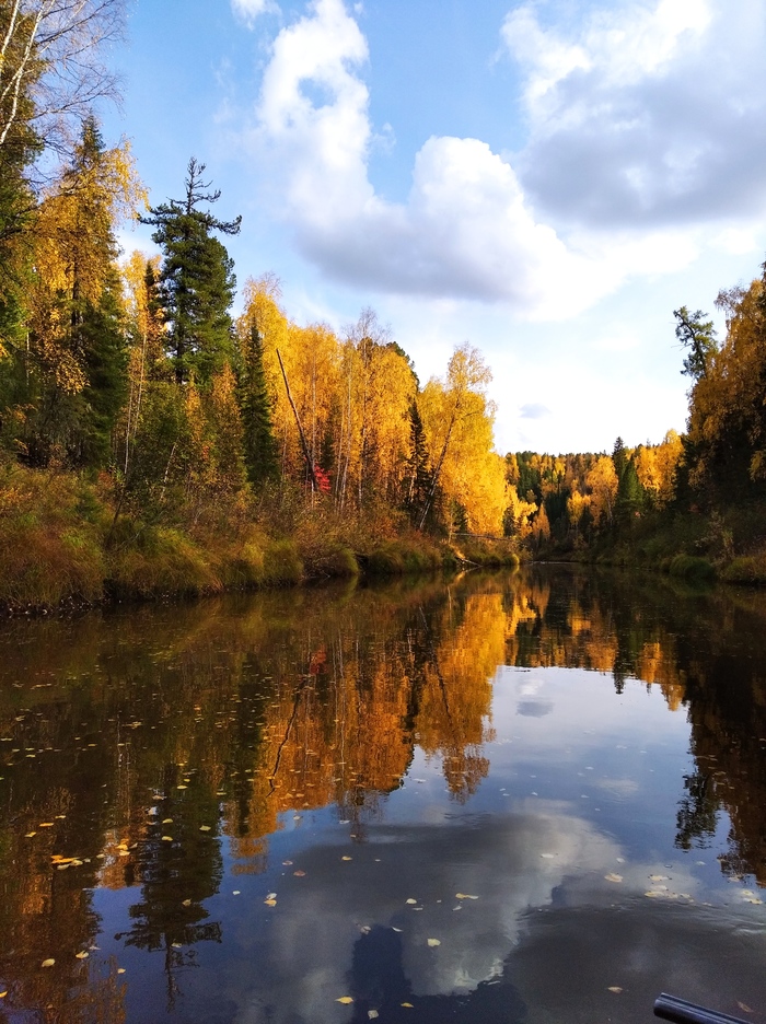 ������� ����