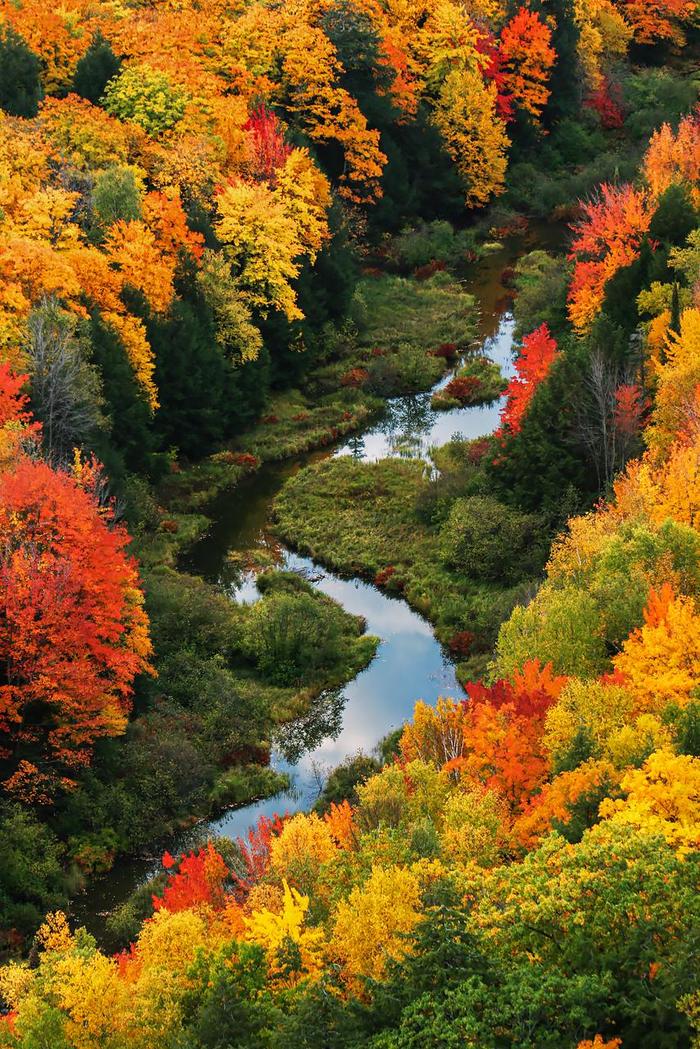 Autumn landscape in Porcupine Mountains National Park, Michigan, USA - Autumn, Color, Foliage, Riot of colors, Michigan, USA, Nature, National park, Desktop wallpaper, Phone wallpaper, Reddit, Forest, Stream, River