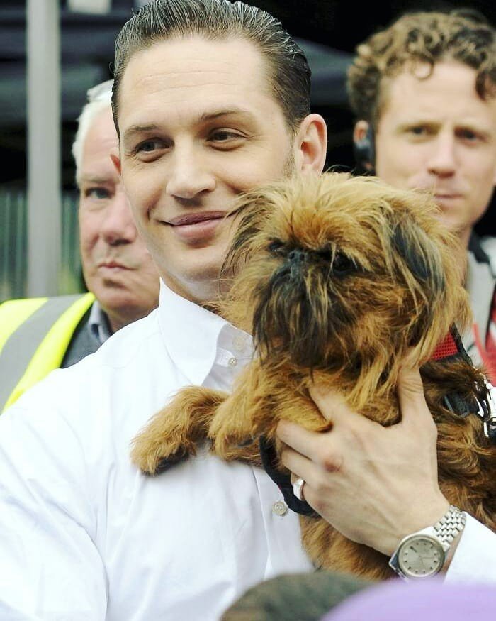 I'm not obsessed with dogs, I just love them very much. Tom Hardy - Tom Hardy, Dog, Love, Longpost, Actors and actresses, Celebrities