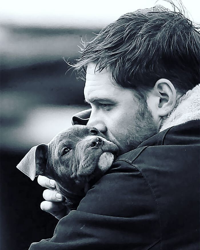 I'm not obsessed with dogs, I just love them very much. Tom Hardy - Tom Hardy, Dog, Love, Longpost, Actors and actresses, Celebrities