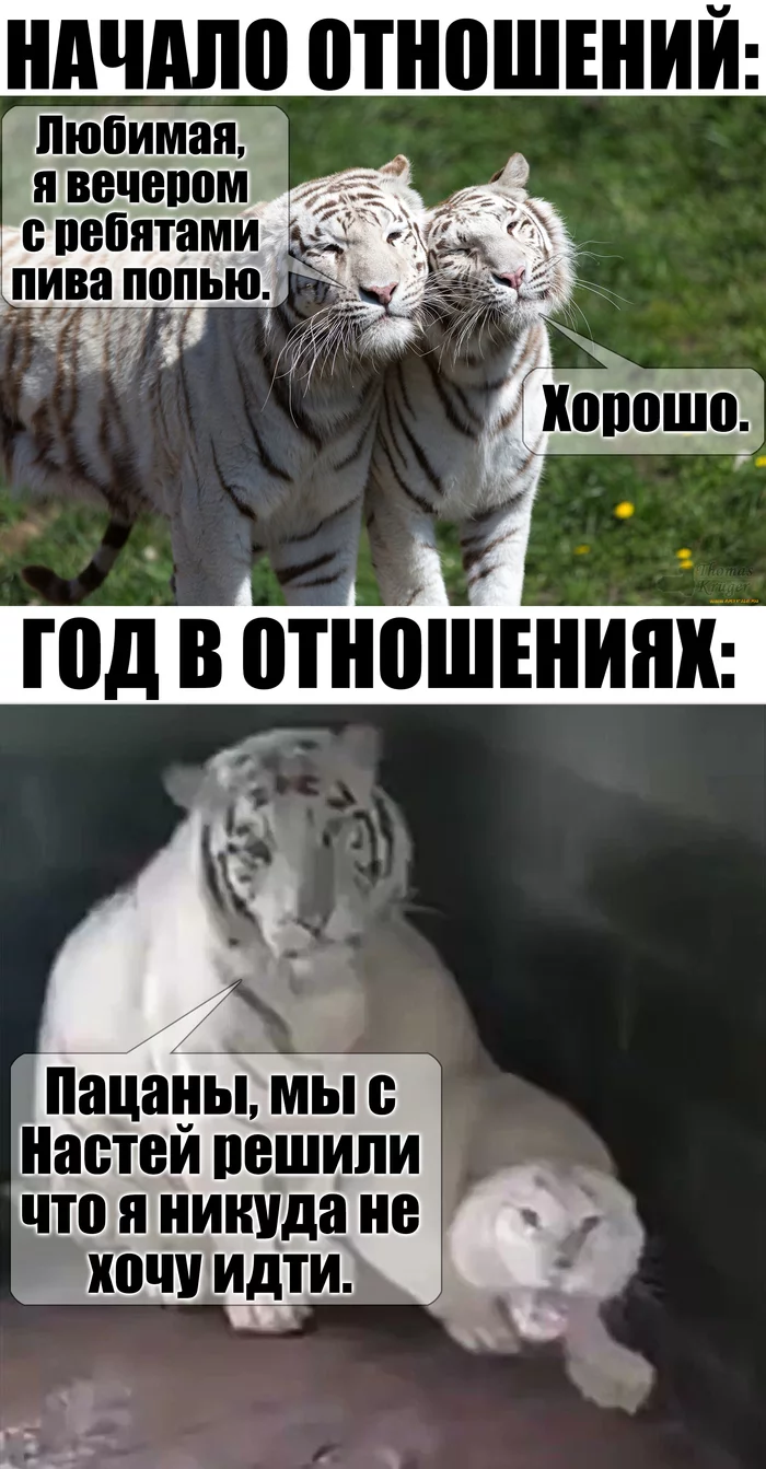 Отношения - Отношения, Друзья, Девушки, Мемы