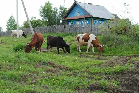 Прорубник - Моё, Истории из жизни, Мат, АУЕ, Соседи, Пахан, Профилактика, Воспитание детей, Тюрьма, Зона, Длиннопост