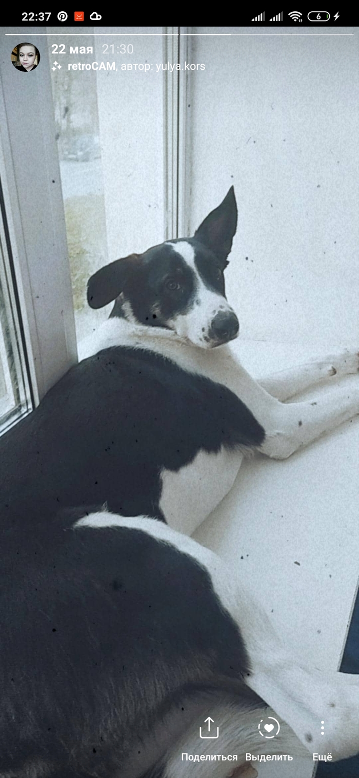 ������� ������. ������, ������� ���� [�������]