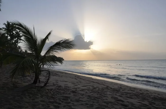 Dominican Republic: Night with the Wild Angel - My, Real life story, Dominican Republic, Caribs, Travels, Yandex Zen, Longpost