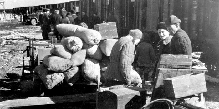 Что стало с немцами Кёнигсберга после войны? Война, Вторая мировая война, Германия, Немцы, Калининград, Депортация, СССР, История, Длиннопост