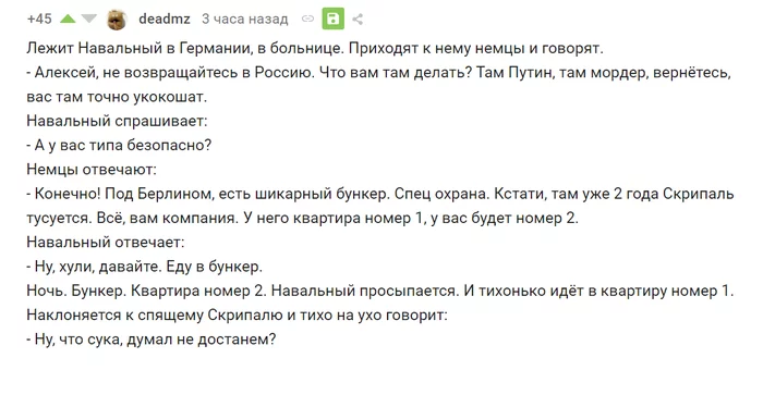 Лежит Навальный в Германии... - Юмор, Комментарии, Алексей Навальный, Комментарии на Пикабу, Скриншот