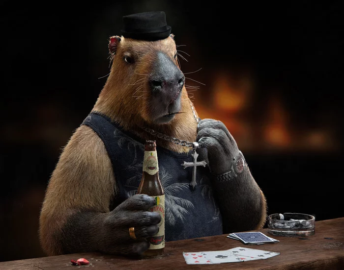 Let's play cards - Art, Render, 3D, Capybara, Bar