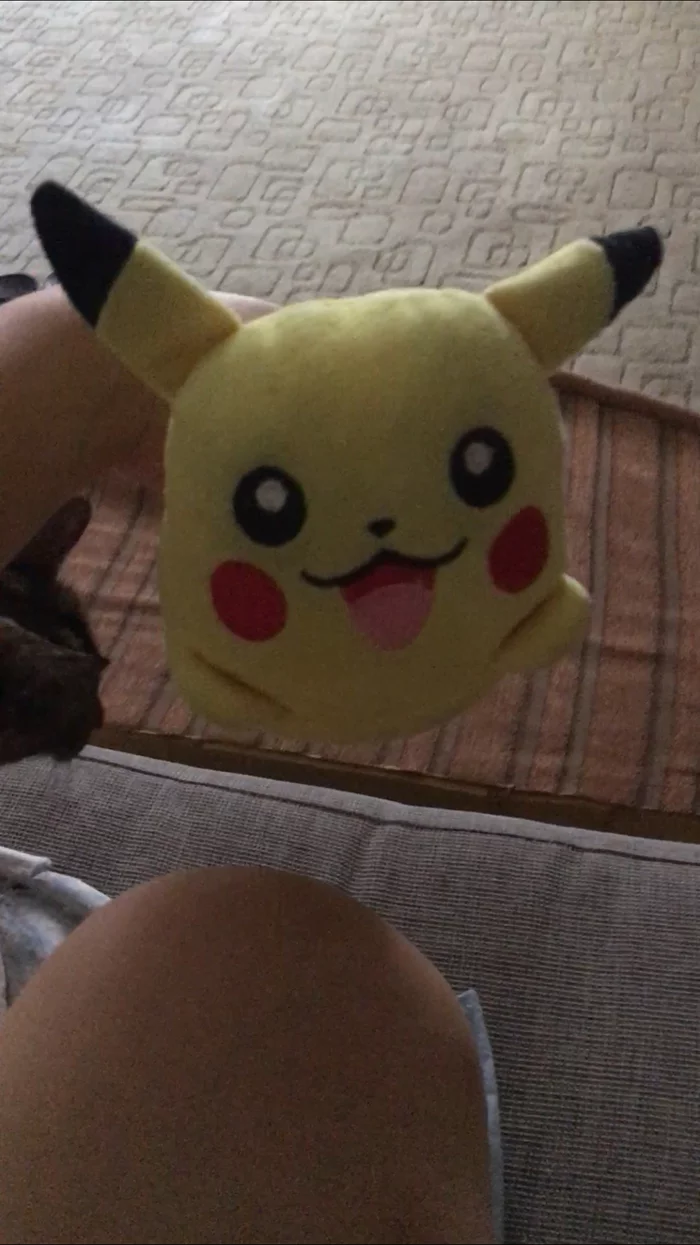 Fear number one: Pikachu - My, cat, Fear, Pikachu, Pokemon, GIF, Longpost