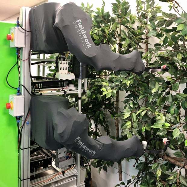 ������� ��������� ������ ��� ������ ������� ������� �������� � 2022 ����