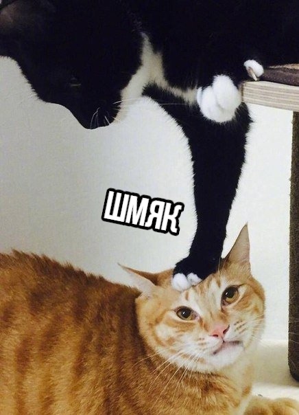   ) , 