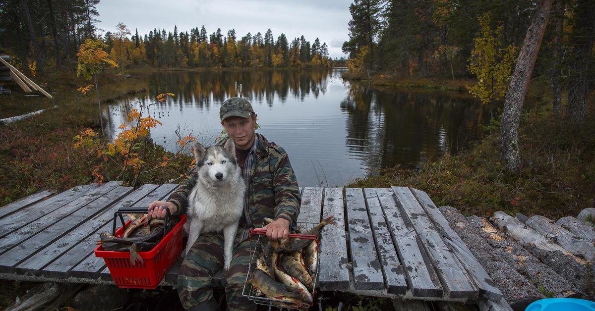 Dog fishing. Собака Рыбак. Эх рыбалка. Волк улов стрик смотрите.