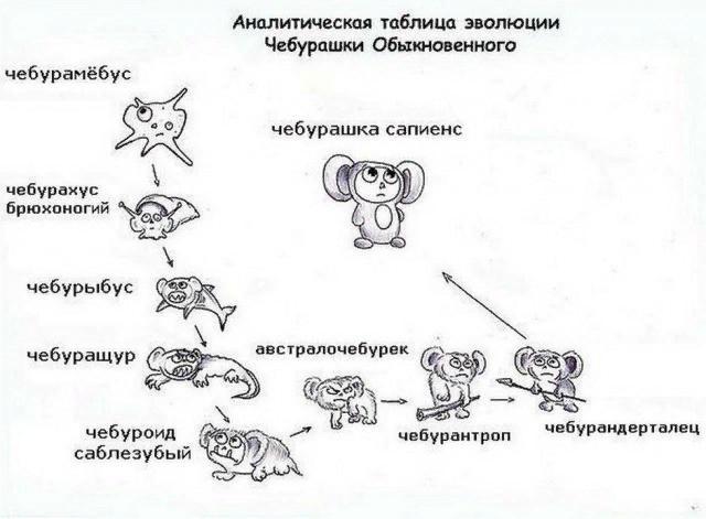 какое животное чебурашка на самом деле