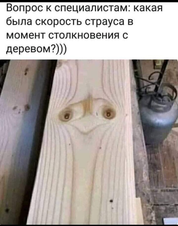 Хорошо впечатался