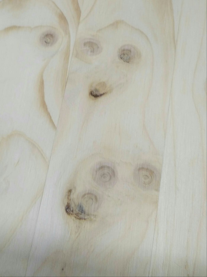 �������� ���� �������������