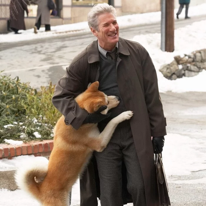 If the soul is the ability to love, be devoted and grateful, then animals possess it to a greater extent than many people. (James Herriton) - Dog, Devotion, Soul, Longpost