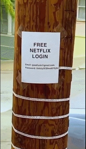 Netflix   ?