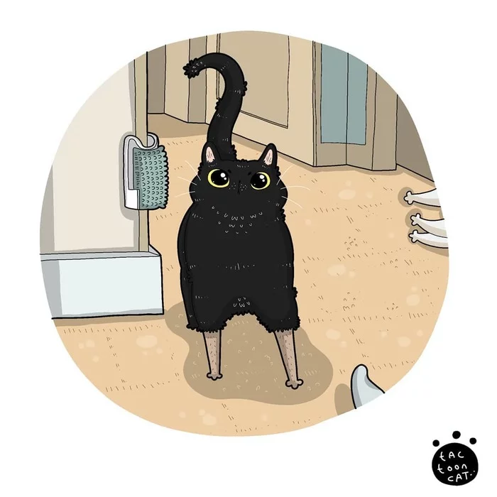 Кот без сапог - Tactooncat, Кот, Рисунок