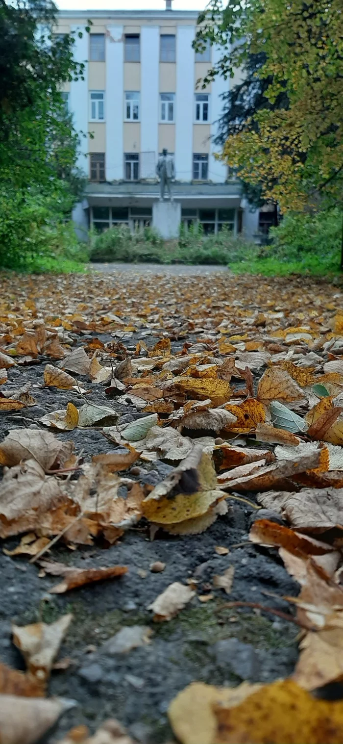 September... - My, The photo, Mobile photography, Autumn, Longpost, Autumn leaves