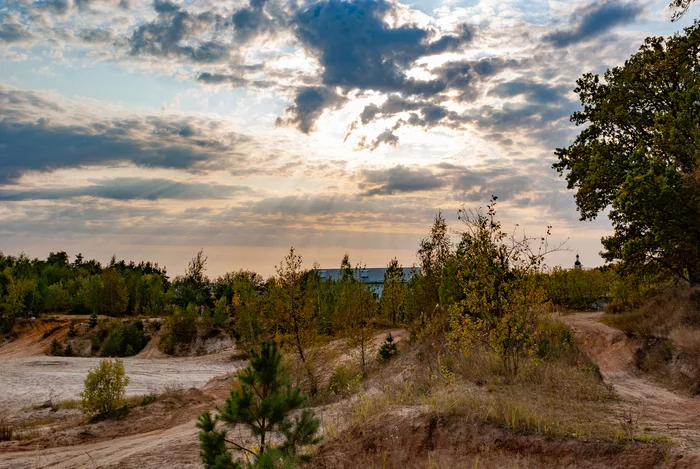 Autumn in the Moscow region - My, The photo, Lytkarino, Autumn, Nature, Moscow region, Longpost, beauty of nature